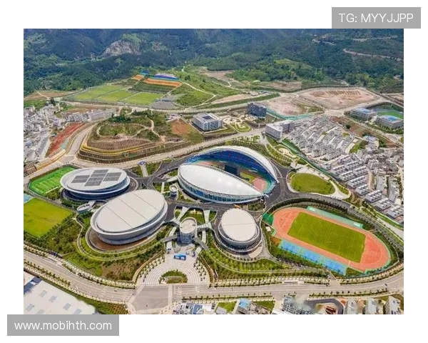 华体体育发展股份有限公司在体育场馆建设与管理中的实践经验与行业示范作用